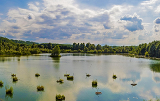Oasi Madonnina