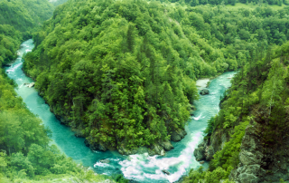 Il fiume Tara in Montenegro che scorre