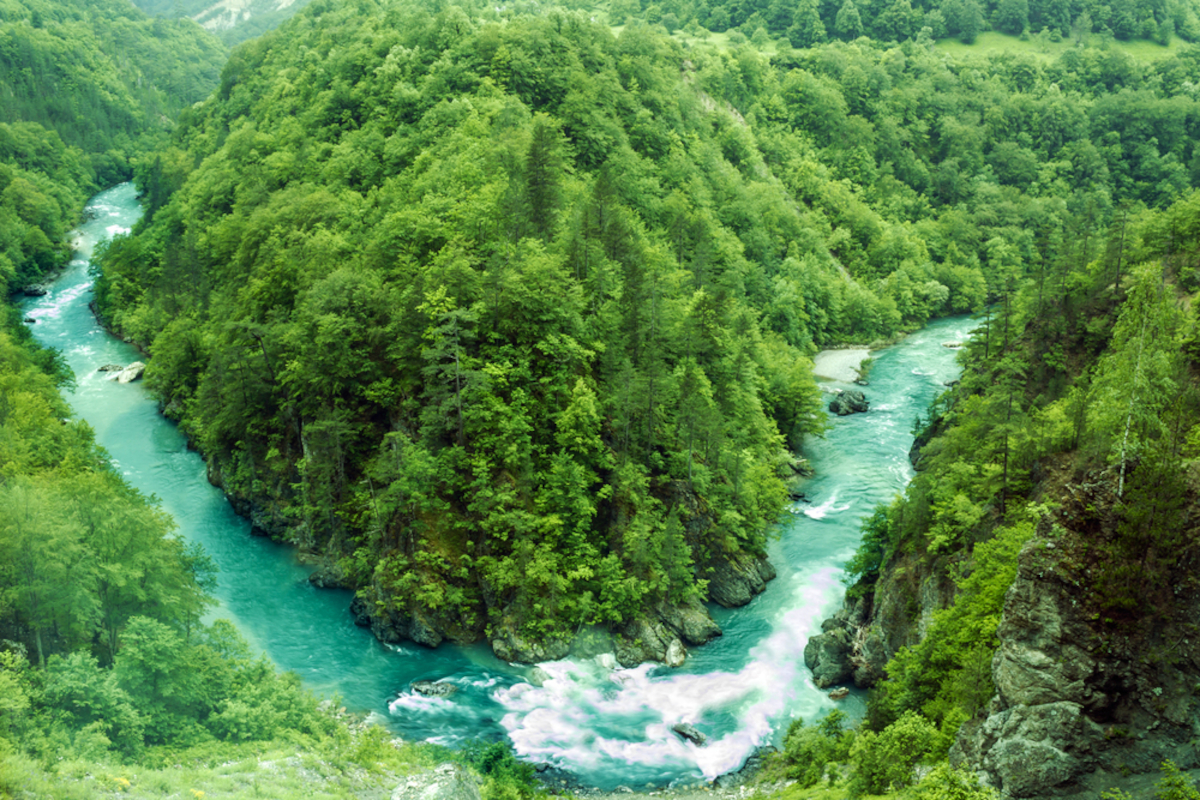 Il fiume Tara in Montenegro che scorre