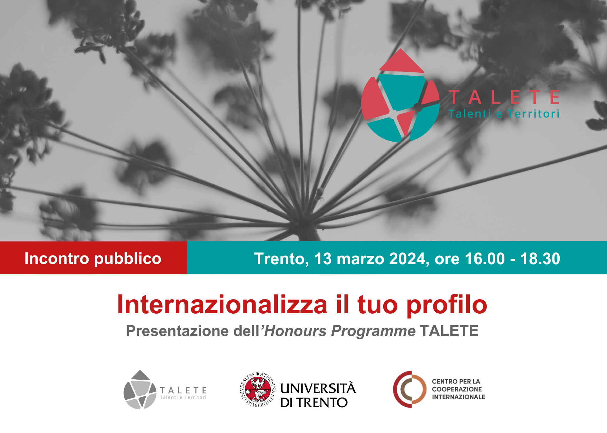 Internazionalizza il tuo profilo (CCI) – 2024